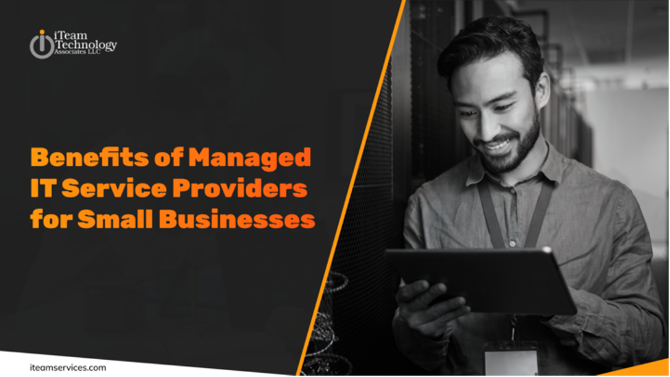 IT Service Providers