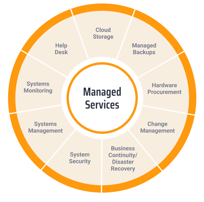 managed-services (1)